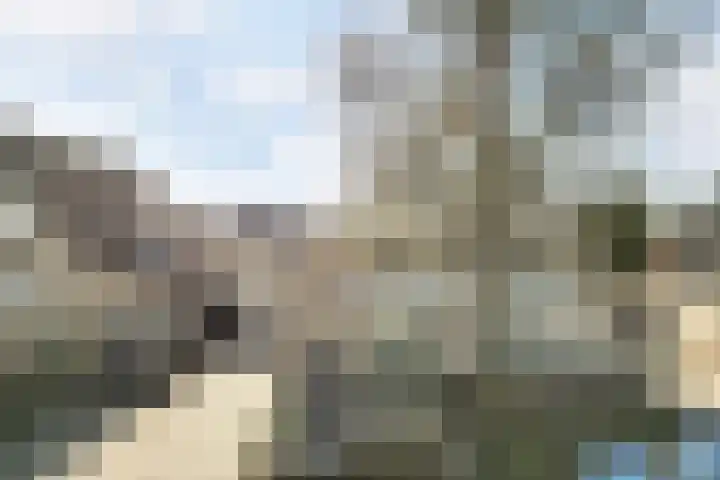 Aalscholverlaan 11 's-Hertogenbosch thumbnail 47