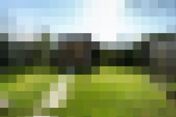 Aalscholverlaan 11 's-Hertogenbosch thumbnail 51