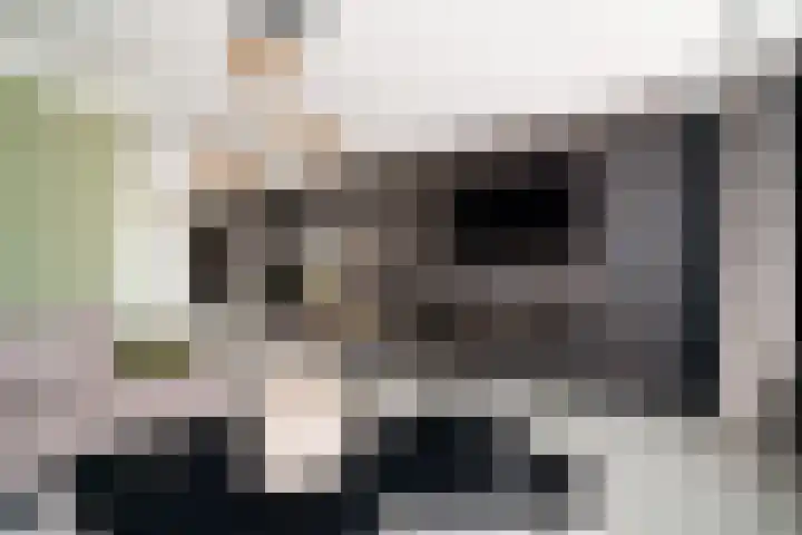 Aalscholverlaan 11 's-Hertogenbosch thumbnail 6