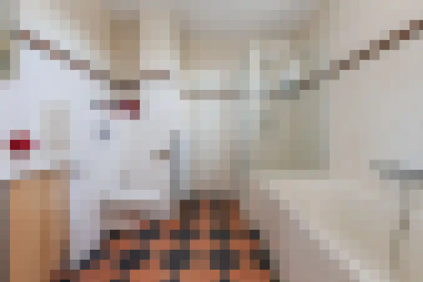 Aalscholverlaan 11 Ter Aar thumbnail 28