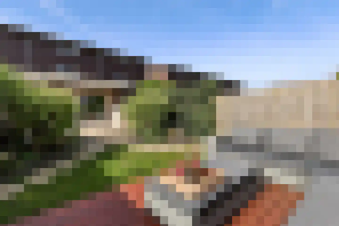 Aalscholverlaan 11 Ter Aar thumbnail 42