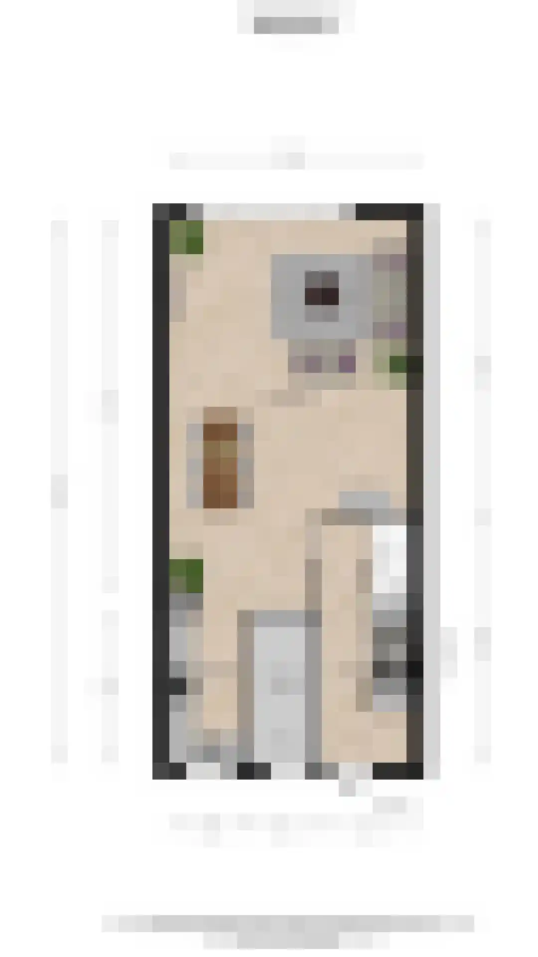 Aalscholverlaan 11 Ter Aar thumbnail 47
