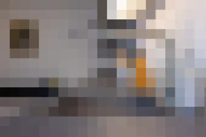Aalscholverlaan 24 's-Hertogenbosch thumbnail 14