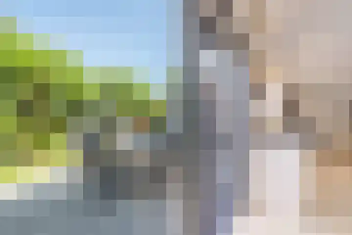 Aalscholverlaan 24 's-Hertogenbosch thumbnail 16