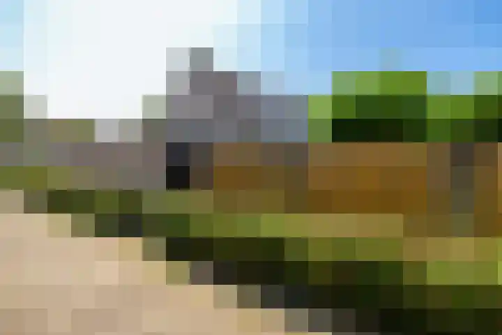 Aalscholverlaan 24 's-Hertogenbosch thumbnail 28