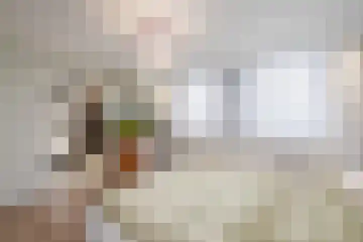 Aalscholverlaan 24 's-Hertogenbosch thumbnail 34