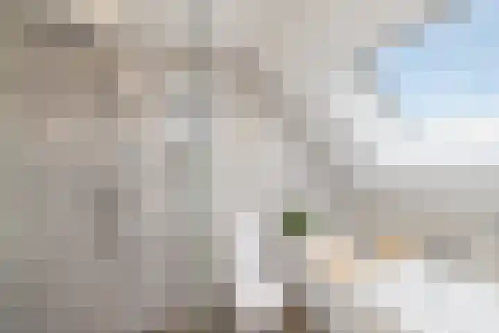 Aalscholverlaan 24 's-Hertogenbosch thumbnail 46