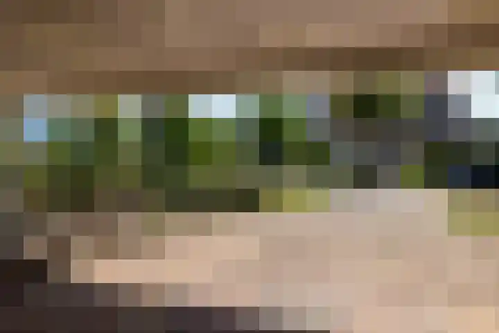Aalscholverlaan 24 's-Hertogenbosch thumbnail 55