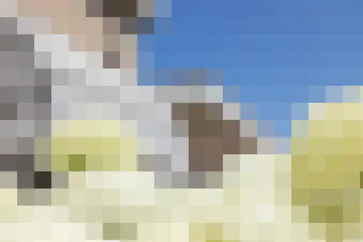 Aalscholverlaan 24 's-Hertogenbosch thumbnail 58