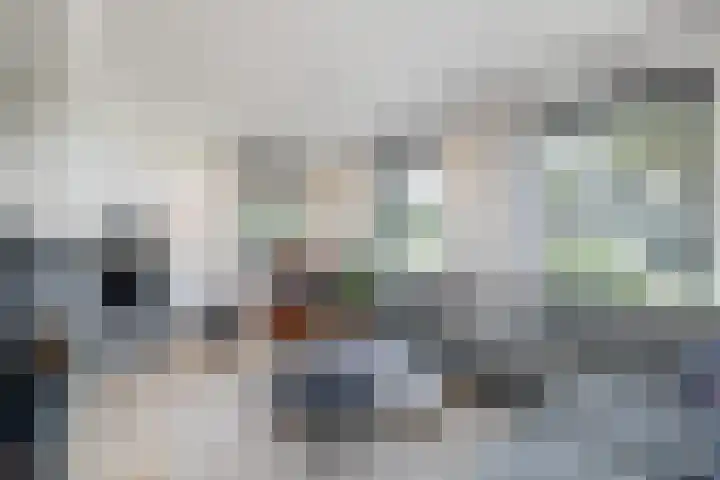 Aalscholverlaan 24 's-Hertogenbosch thumbnail 6
