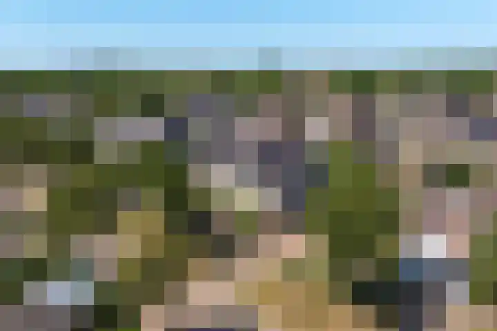 Aalscholverlaan 24 's-Hertogenbosch thumbnail 62