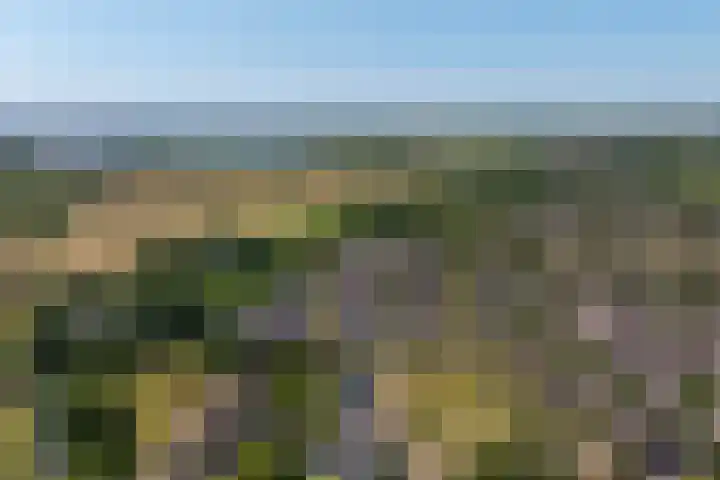 Aalscholverlaan 24 's-Hertogenbosch thumbnail 65