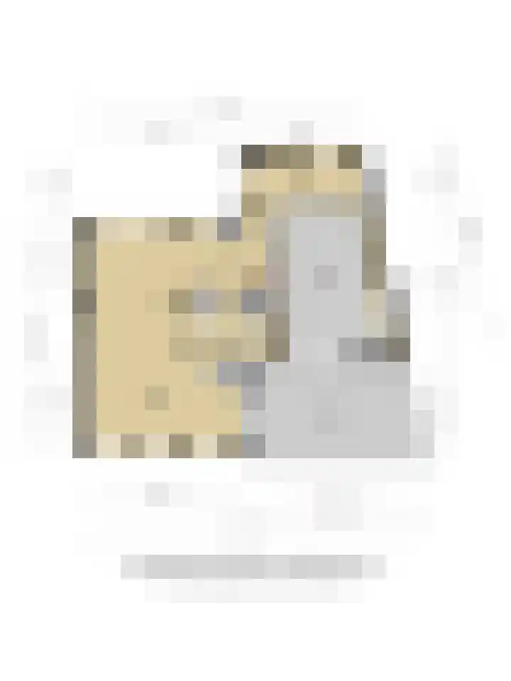 Aalscholverlaan 24 's-Hertogenbosch thumbnail 68