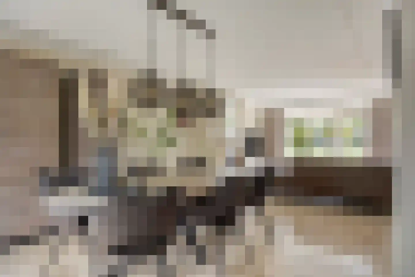 Aalscholverlaan 32 's-Hertogenbosch thumbnail 11