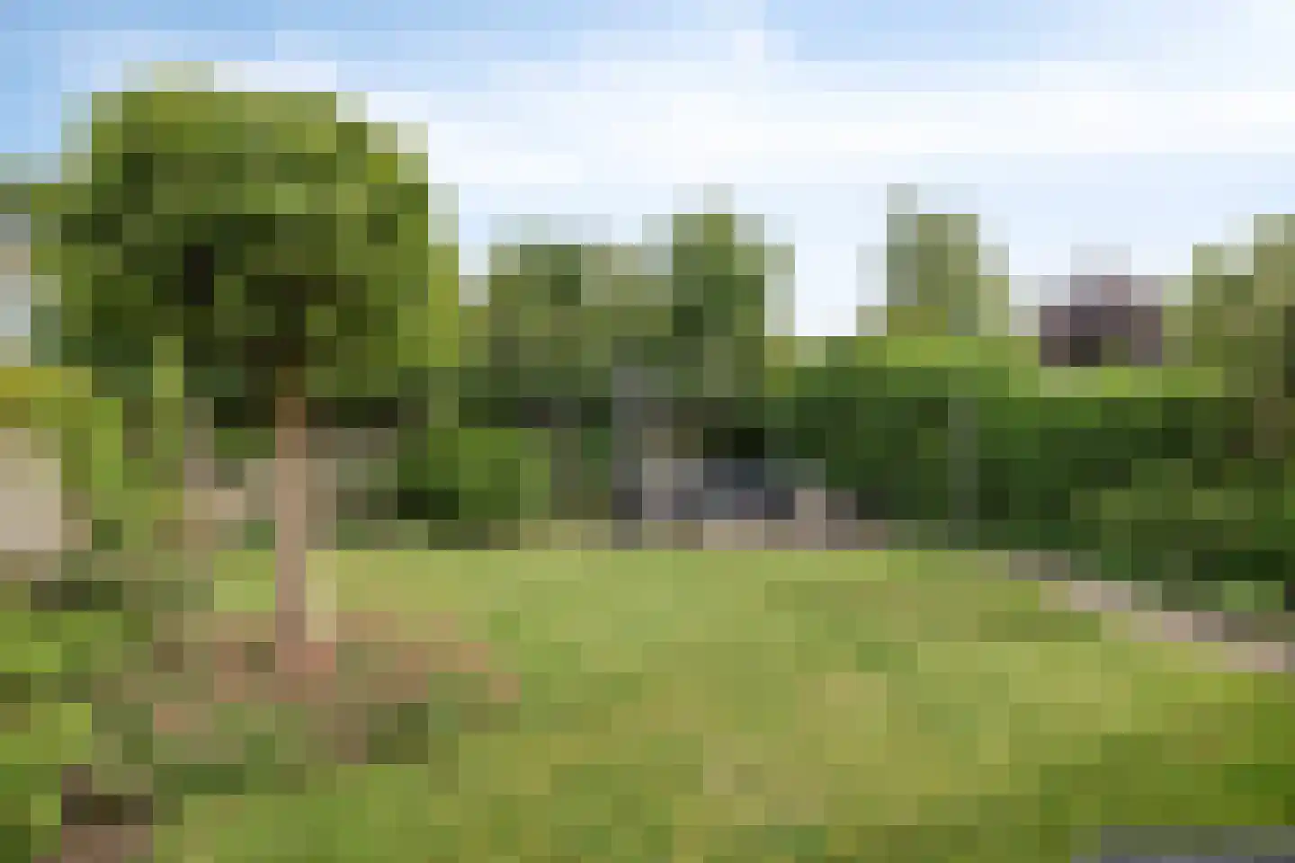 Aalscholverlaan 32 's-Hertogenbosch thumbnail 31