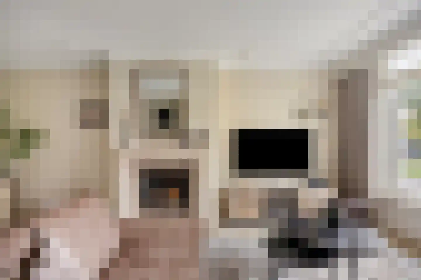 Aalscholverlaan 32 's-Hertogenbosch thumbnail 8