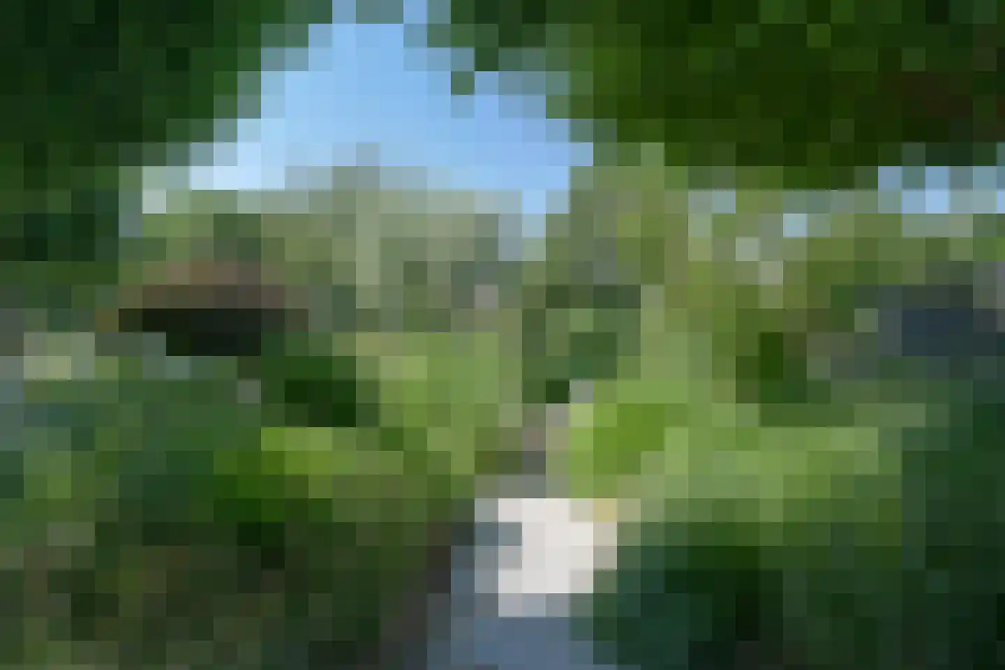 Aalscholverlaan 4 Ter Aar thumbnail 29