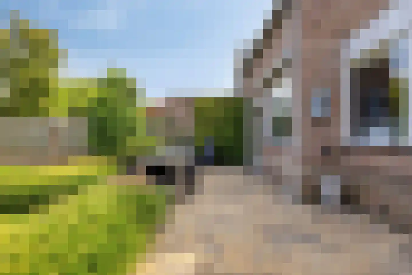 Aalscholverlaan 48 's-Hertogenbosch thumbnail 20