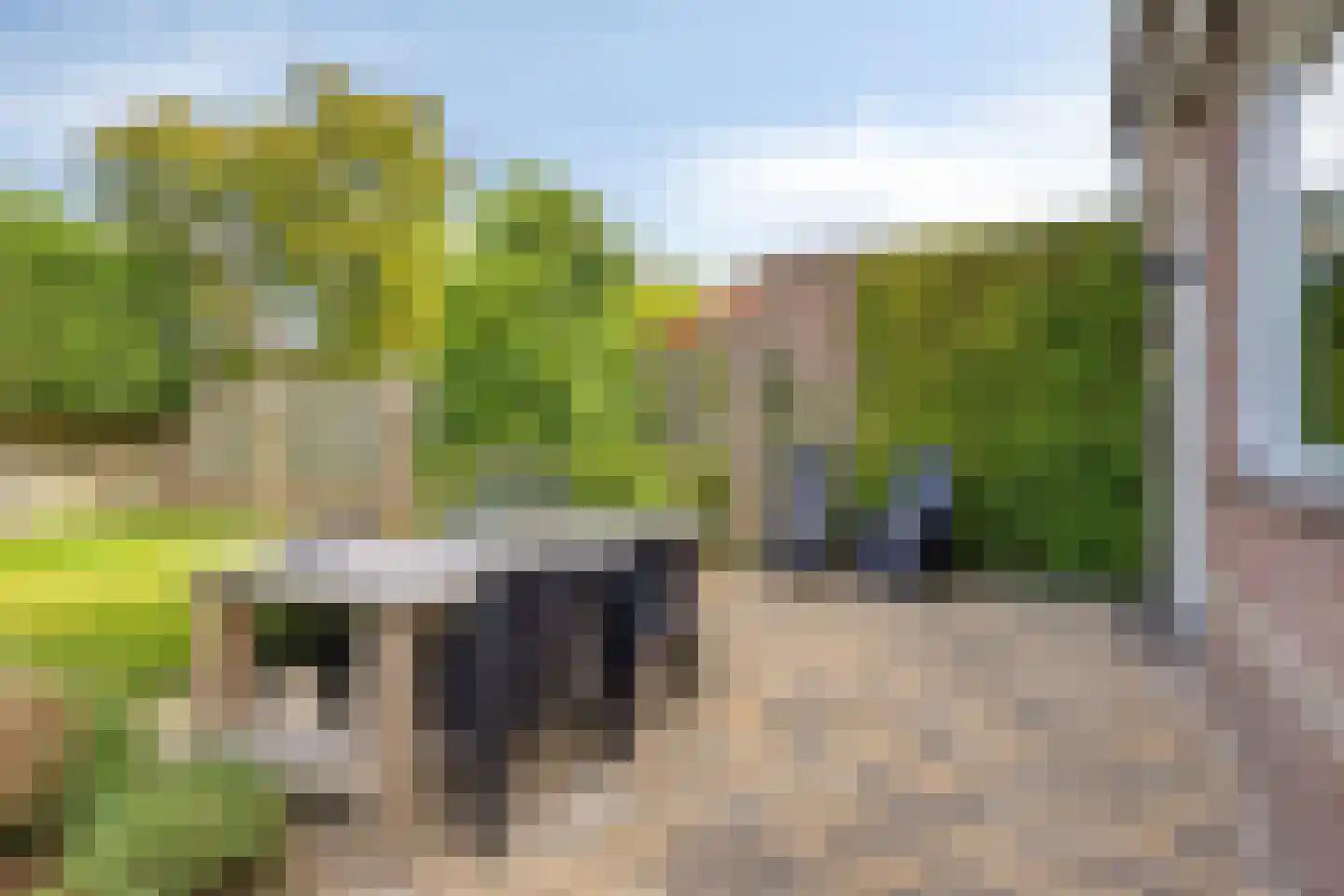 Aalscholverlaan 48 's-Hertogenbosch thumbnail 48