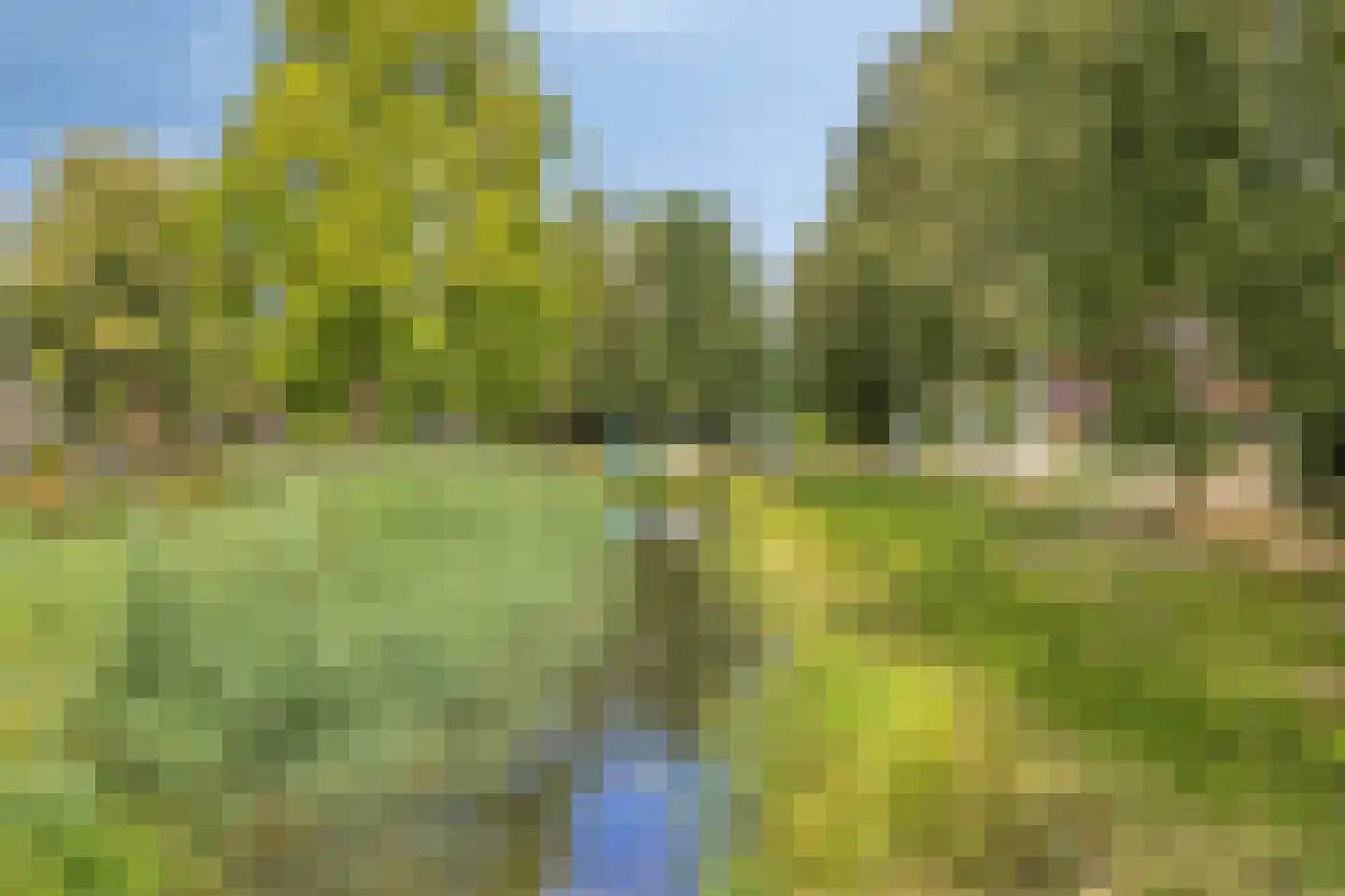 Aalscholverlaan 48 's-Hertogenbosch thumbnail 53