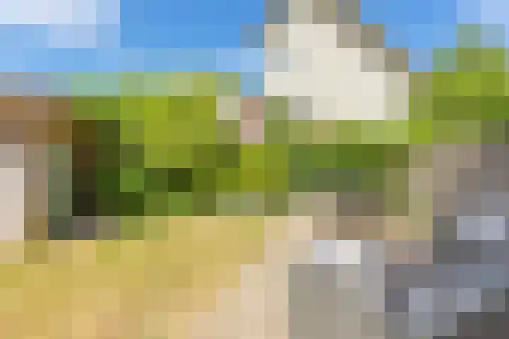 Aalscholveroever 10 Den Haag thumbnail 11