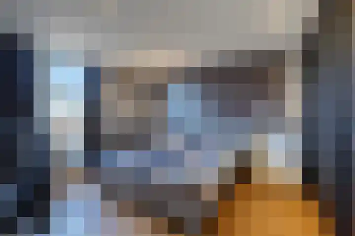 Aalscholveroever 10 Den Haag thumbnail 17