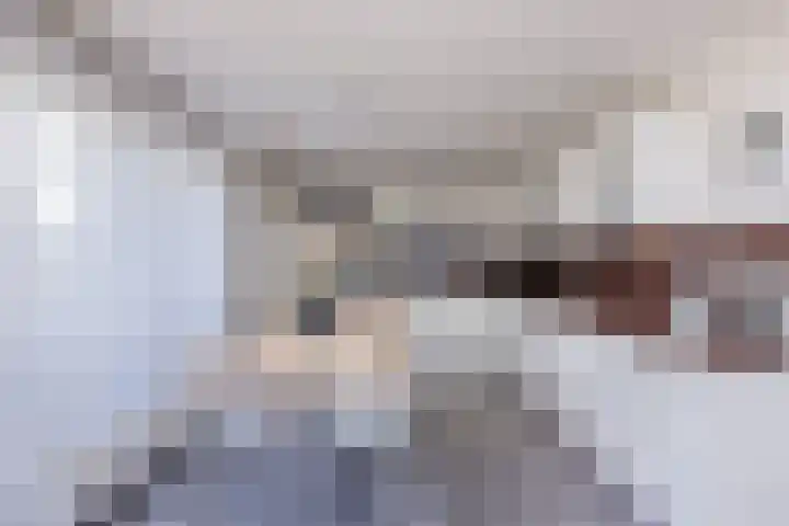 Aalscholveroever 10 Den Haag thumbnail 8