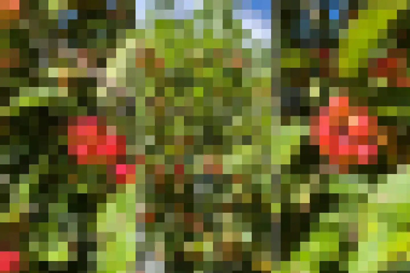 Aalscholveroever 11 Den Haag thumbnail 17
