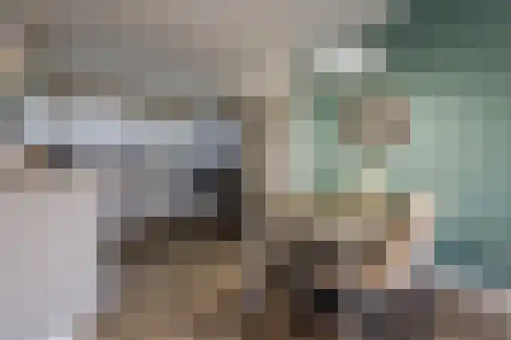 Aalscholveroord 1 Leiden thumbnail 10