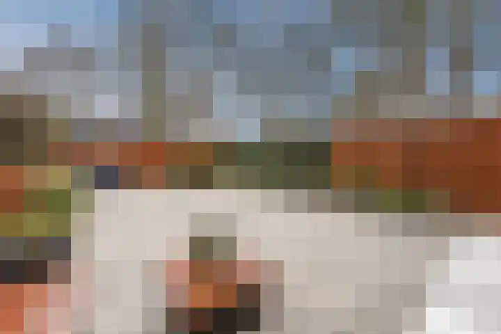 Aalscholveroord 1 Leiden thumbnail 11