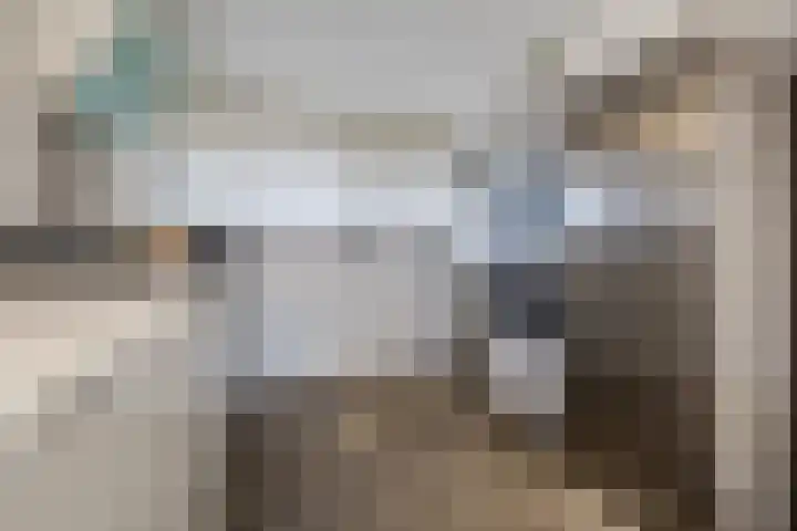 Aalscholveroord 1 Leiden thumbnail 14