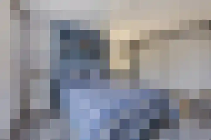 Aalscholveroord 1 Leiden thumbnail 17