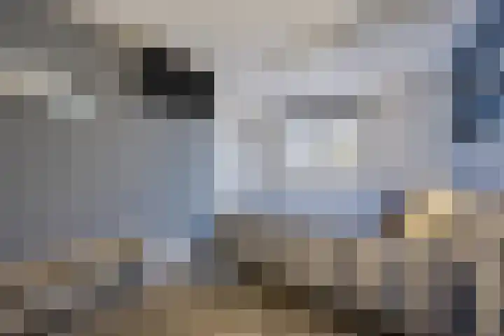 Aalscholveroord 1 Leiden thumbnail 18