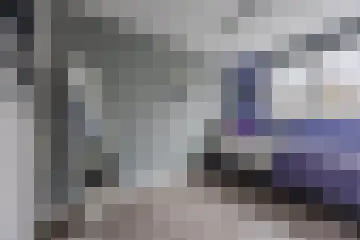 Aalscholveroord 1 Leiden thumbnail 19