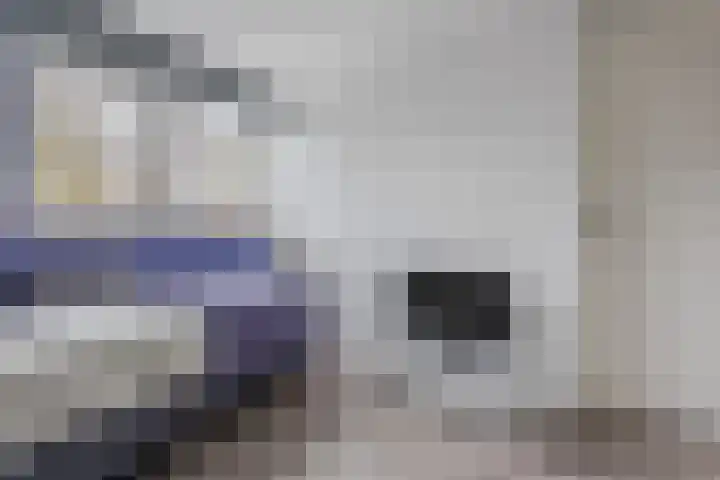 Aalscholveroord 1 Leiden thumbnail 20