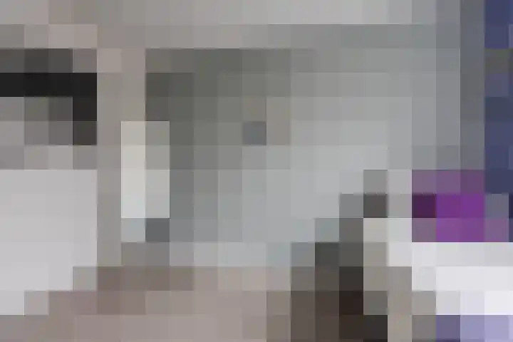 Aalscholveroord 1 Leiden thumbnail 21