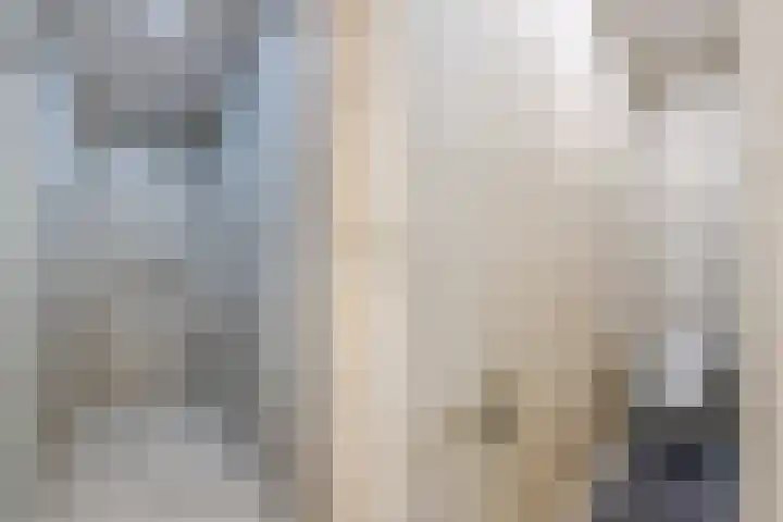 Aalscholveroord 1 Leiden thumbnail 28