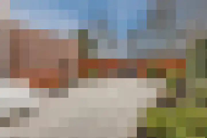 Aalscholveroord 1 Leiden thumbnail 29