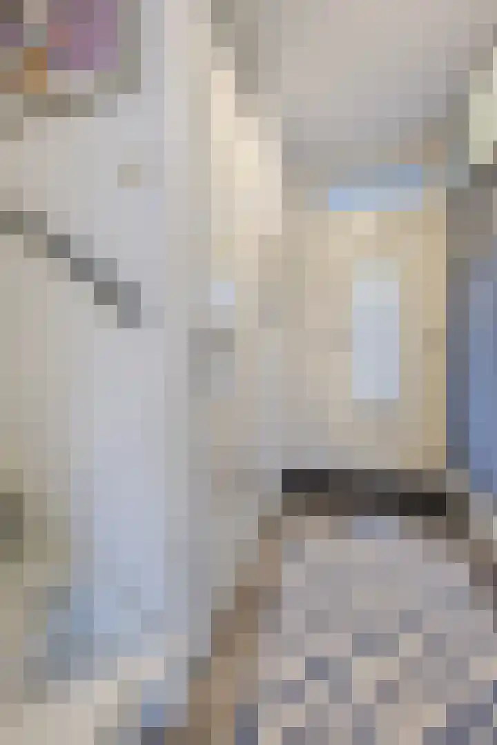 Aalscholveroord 1 Leiden thumbnail 4
