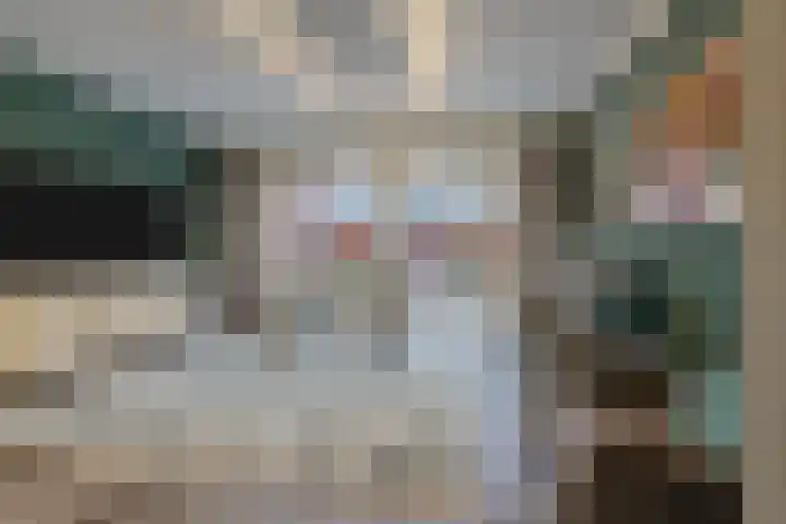 Aalscholveroord 1 Leiden thumbnail 7