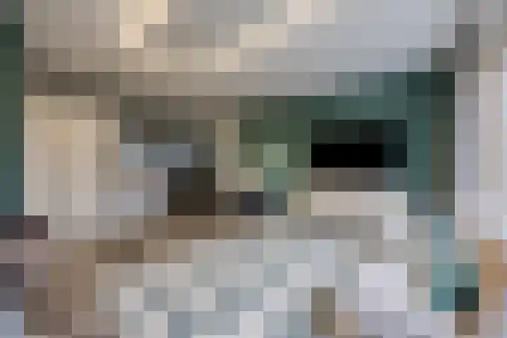 Aalscholveroord 1 Leiden thumbnail 8
