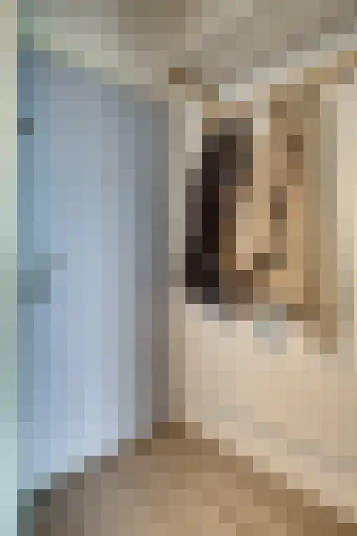 Aalscholversingel 110 Velp thumbnail 11