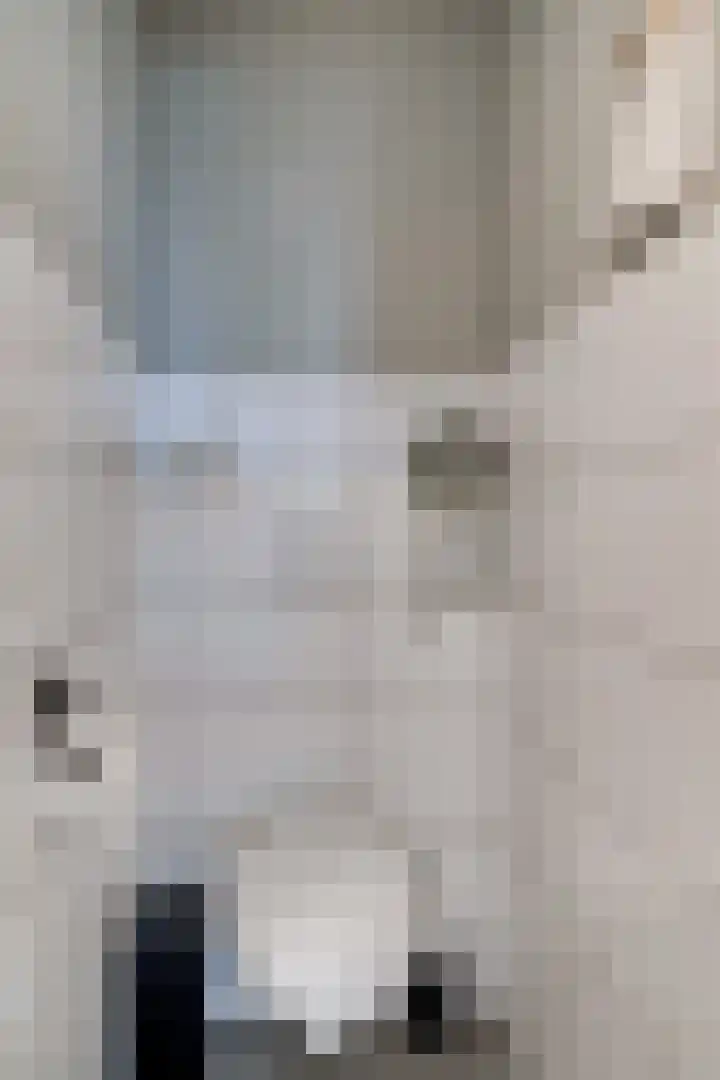 Aalscholversingel 110 Velp thumbnail 14