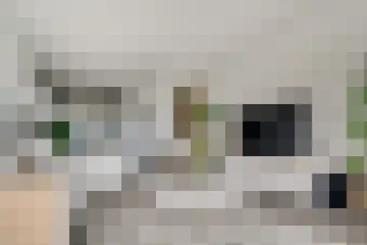 Aalscholversingel 110 Velp thumbnail 16