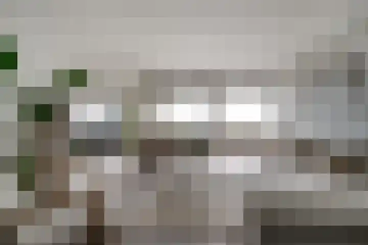 Aalscholversingel 110 Velp thumbnail 17