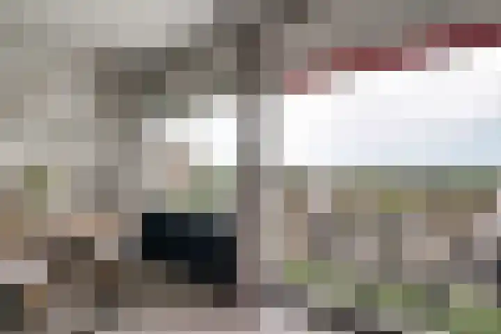 Aalscholversingel 110 Velp thumbnail 19