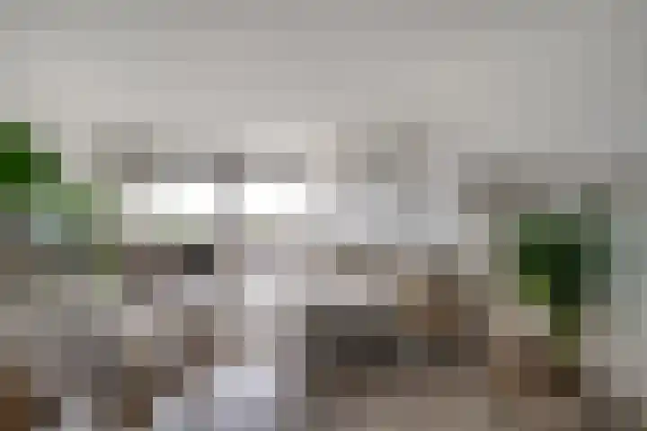 Aalscholversingel 110 Velp thumbnail 20