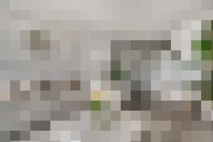 Aalscholversingel 110 Velp thumbnail 22