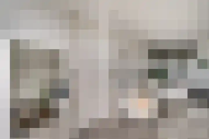 Aalscholversingel 110 Velp thumbnail 23