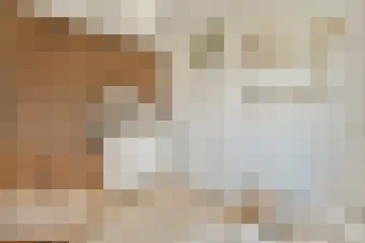 Aalscholversingel 110 Velp thumbnail 25
